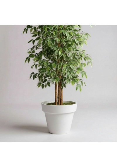 150 Cm Yapay Ficus Beyaz Plastik Saksı Dekoratif Ağaç