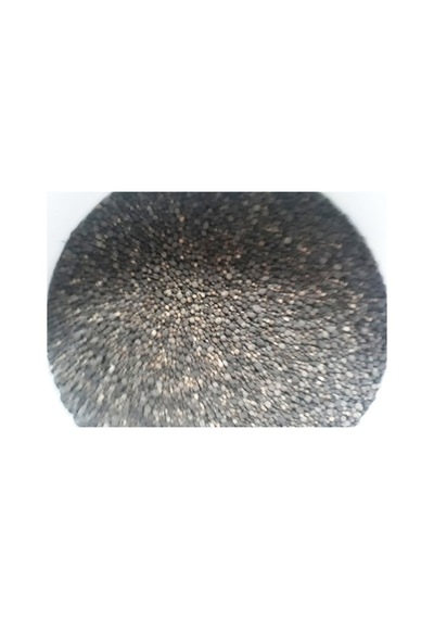 Botanika 5410 Granül Çim Besleyici 10 KG.