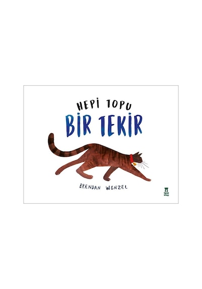 Hepi Topu Bir  Tekir