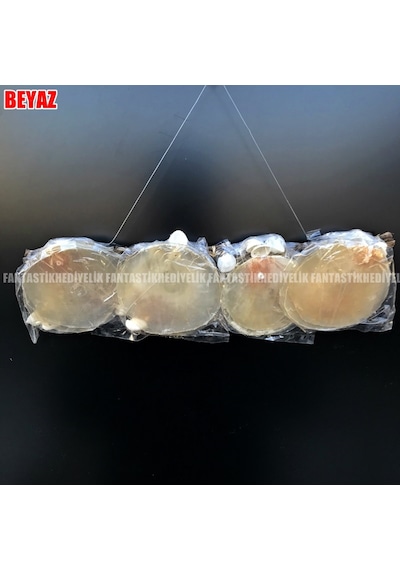 Deniz Yıldız Sedef Hasır Nazar Balkon Bahçe Rüzgar Gülü Kapı Süs
