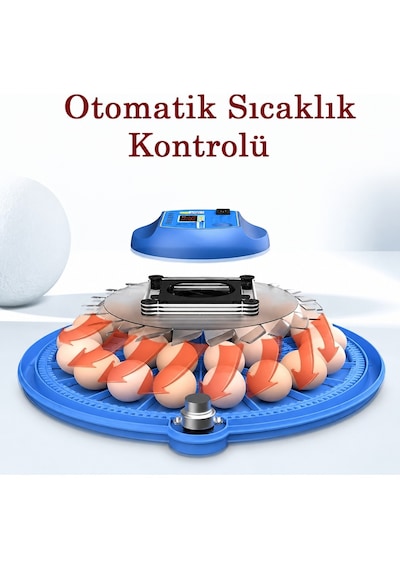 26'li Tam Otomatik Kuluçka Makinesi Dijital Isı Kontrol Nemlendiricili