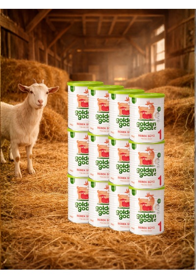 Golden Goat 1 Numara Bebek Sütü Keçi Sütü 400 G 12 Adet