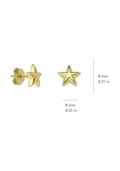 Goldkupe 14 Ayar Sade Yıldız Küpe 1,20 Gr-657