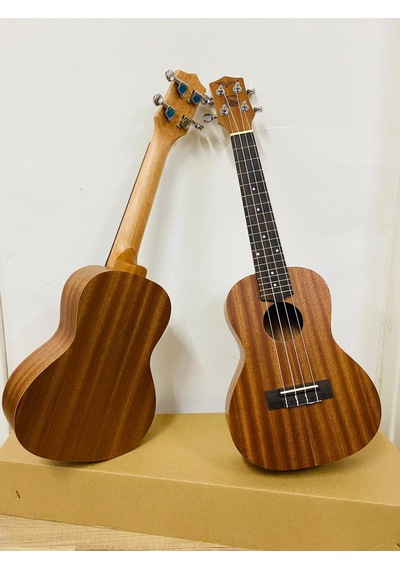 Maun Ağacı Üst Concert Boy Ukulele-Kılıf ve Pena
