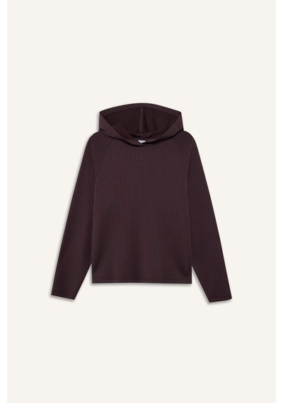 Defacto Standart Fıt Kapüşonlu Modal Sporcu Sweatshirt G5309ax26spbn277 Kahve-bn277
