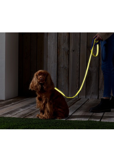 Köpek Tasması, Reflektörlü Lacivert