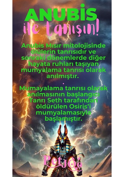 Petjoo 30.Anubis Pembe-Yeşil Qr'lı Köpek Künyesi