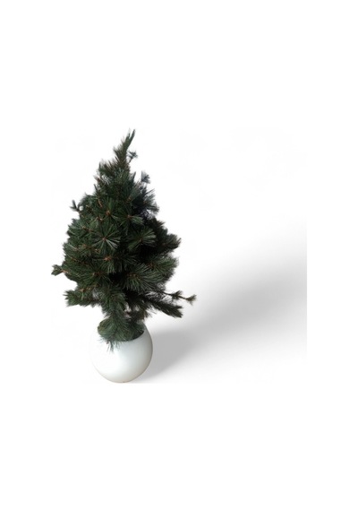 Soft Natura Çam Ağacı 90 Cm Beyaz Saksıda Doğal Görünümlü Dekoratif Yapay Ağaç