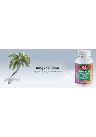 Dmp Ginkgo Biloba Korean Red Ginseng Macamax 240 Kapsül