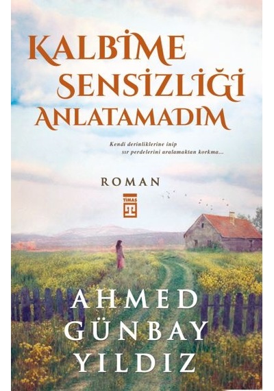 Kalbime Sensizliği  Anlatamadım
