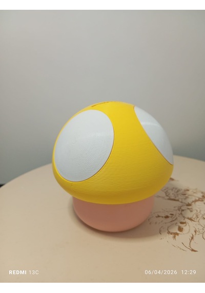 Mantar Kumbara 3d