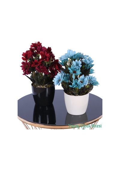 Yapay Çiçek Sitesi Plastik Saksıda Yapay Katmerli Papatya Tanzimi 2'li Set 25 Cm Bordo - Turkuaz