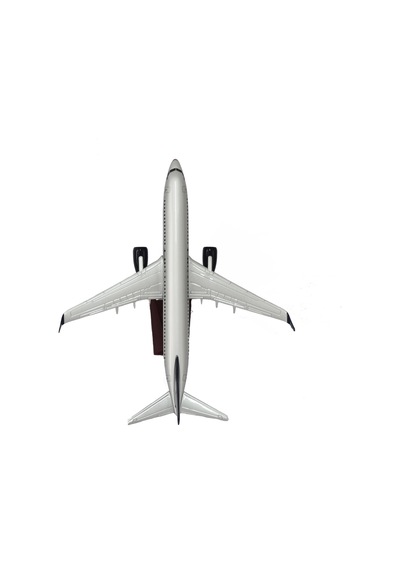 Zekupp Boeing 737-800 1/100 Gümüş Şeritli Model Uçak