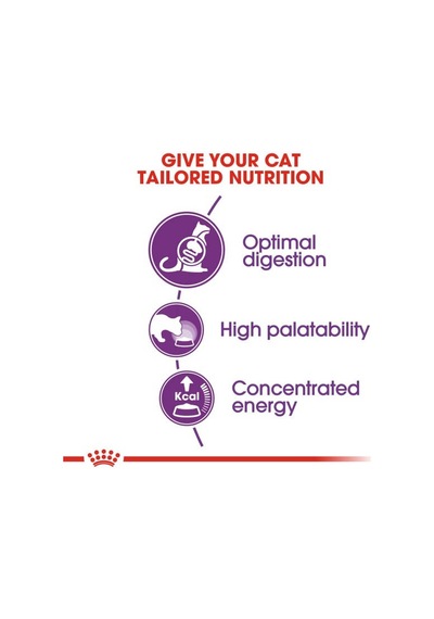 Royal Canin Sensible 33 Hassas Sindirim Sistemi İçin Yetişkin Kedi Sı 10 Kilogram
