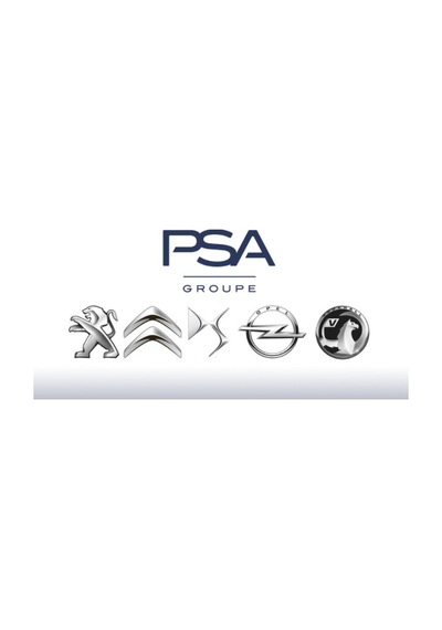 Psa 1444tj Hava Filtresi Peugeot Citroen