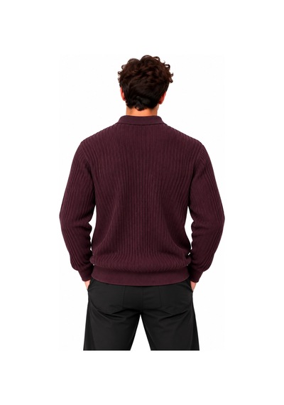 Erkek Polo Yaka Uzun Kollu Standart Fit Kalıp Kazak 27001 Mürdüm