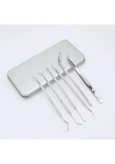 Valkyrie 6 Adet Metal Kutulu Paslanmaz Çelik Diş Tartar Dil Temizleme Dental Ağız Bakım Seti