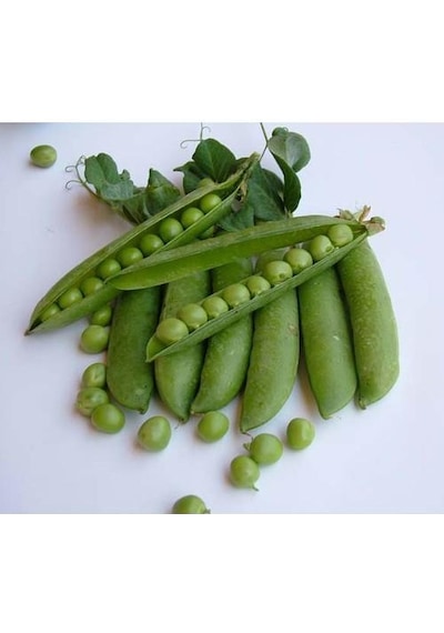 Yerli İri Tane Bezelye Tohumu 500 GR N113336