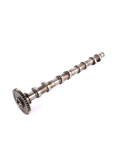 Febi Bilstein 184903 Eksantrik Mili Bmw 11318575438 Diğer