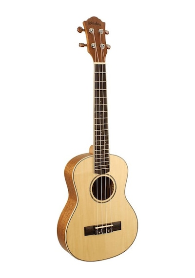 Lichtenberg Eme 3 Tenor Ukulele Taşıma Çantası