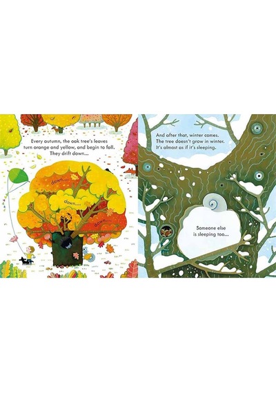 Peep Inside a Tree - Anna Milbourne - Usborne