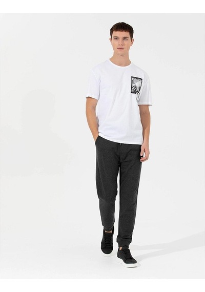 Pierre Cardin Comfort Baskılı Bisiklet Yaka Tişört Renkli
