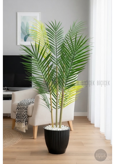 Biçiçek 100 Cm Areka Ağaci 3 Gövdeli̇