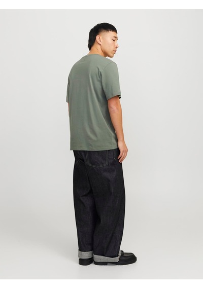 Jack & Jones Jjeorganıc Basıc Tee Ss O-neck Noos Green Renkli