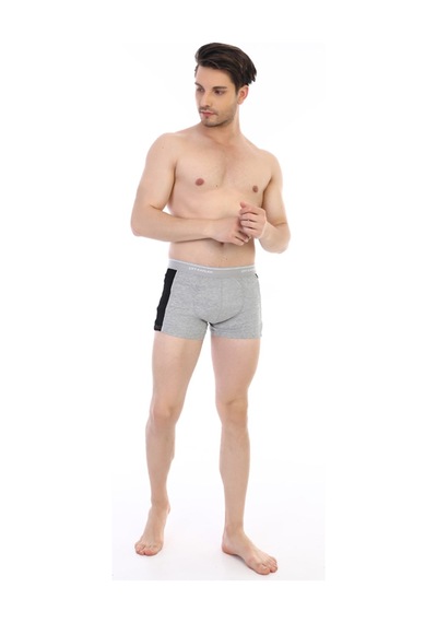 Çift Kaplan Erkek Elastanlı Biyeli Gri Boxer 850
