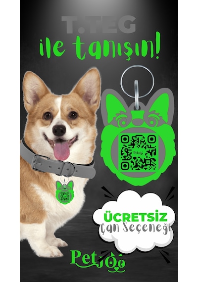 Petjoo 15.T.Teg Yeşil-Gri Qr'lı Köpek Künyesi