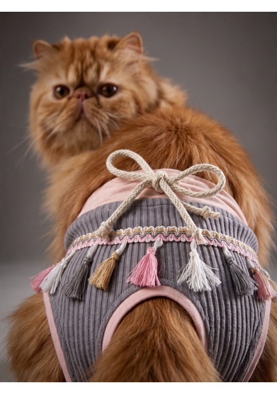 Mini Tassel Lilly Dişi Kedi Regl Külotu Don Kedi İç Çamaşırı Ayarlanabilir Bağcıklı Küçük Irklar İçin