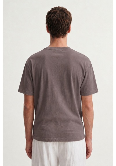 Antioch Pamuklu Erkek T-shirt Vizon