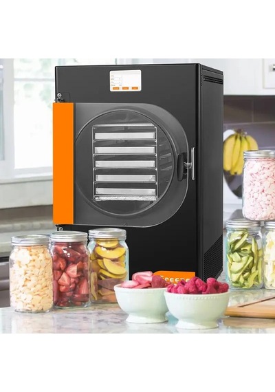Dalle Dfd-06 Yüksek Teknolojili Freeze Dryer Dondurarak Kurutma Fırını