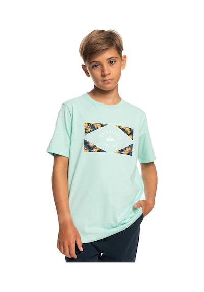 Quiksilver Cırcledlıne B Tees Turkuaz Mint