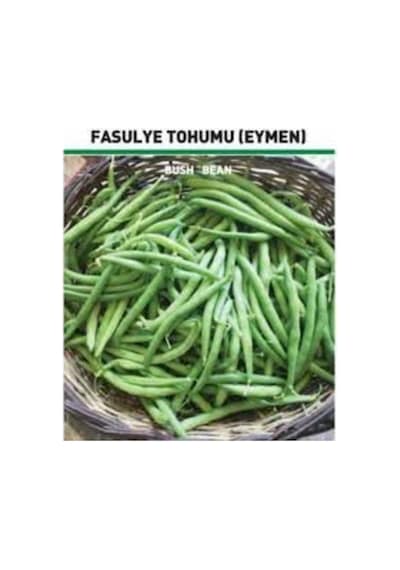 35 Adet Tohum Eymen Oturak Erkenci Fasulye Tohumu