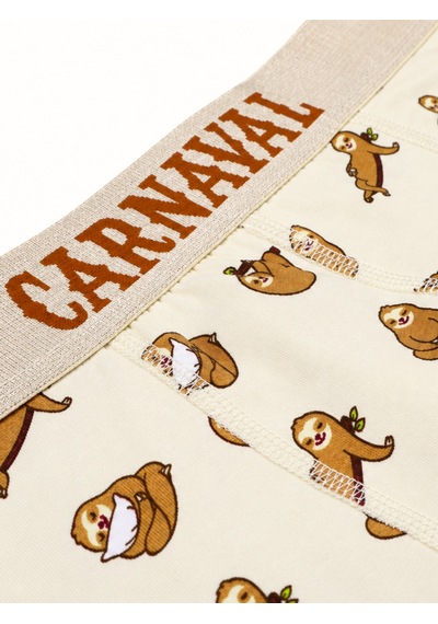 Carnaval Socks Tembel Hayvan Desenli Erkek Boxer Pamuklu Likralı Parlak Lastikli Kutulu Krem Çoklu
