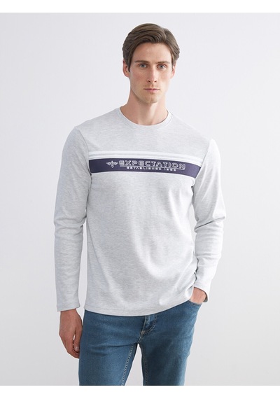 LC Waikiki Lc Waıkıkı Bej Bisiklet Yaka Baskılı Erkek Sweatshirt