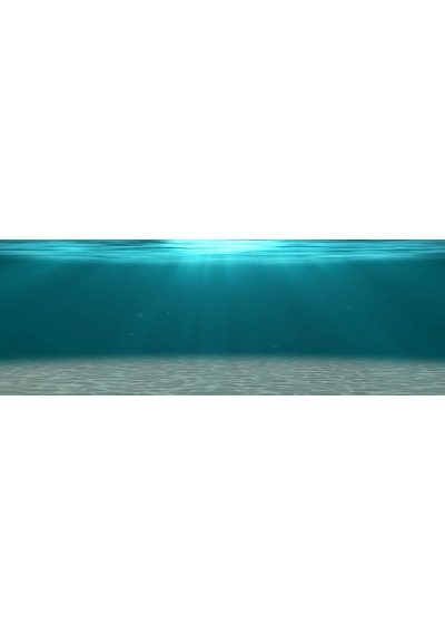 Kanki Pet  Akvaryum Arka Fon Yapıştırma  185x65 cm KP18565006