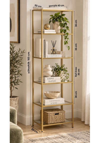 Teknor Gold Çerçeveli Şeffaf Cam Modern Salon Kitaplığı 40 Cm