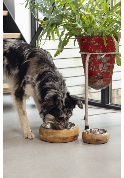 Beeztees Dbl Köpek Mama Su Kabı, Dışı Masif Ahşap, Paslanmaz Çelik, 21cm, 1300ml