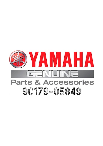 Yamaha Nmax / Yzf-r25 Cam Vidası Somunu