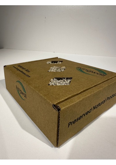 Reindermoss Şoklanmış Norveç Yosunu Terarium Yosunu Natural Green 100 Gr.