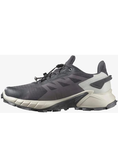 Salomon Supercross 4 Gore-tex Nıne Iron Kadın Koşu/spor Ayakkabısı Gri