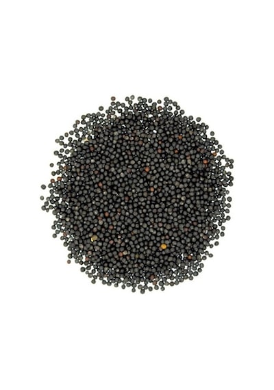 Rapiska Tohumu Kanola Tohumu Şalgam Tohumu 200 Gr