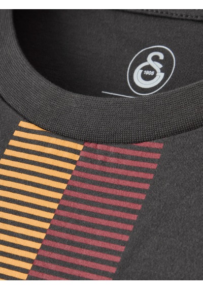 Gsstore Galatasaray Erkek T-shirt E261078 Antrasit