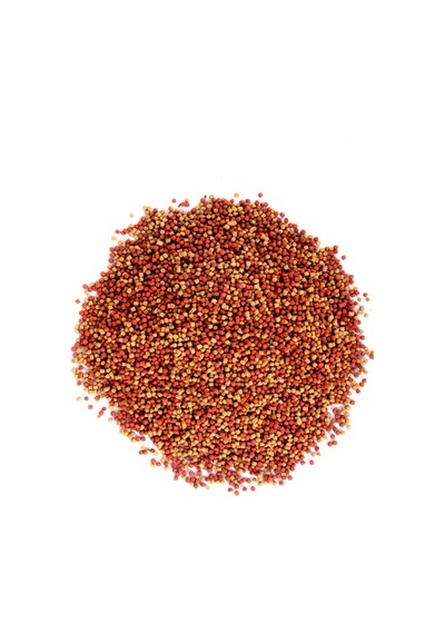 Japon Balığı Yem Vitamin Seti, Lotus Gold Natural ve Mix