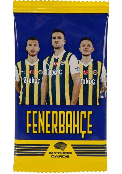 Fenerbahçe Booster Kart 2023-24