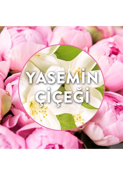 Elektrikli Oda Kokusu Yedek Şişe Yasemin Çiçeği 3x19 Ml