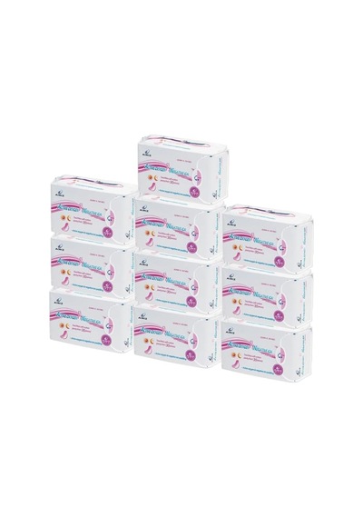 Ayrex Airiz 30lu Günlük 10 Paket Hijyenik Kadın Pedi Seti 10 Paket 300 Adet