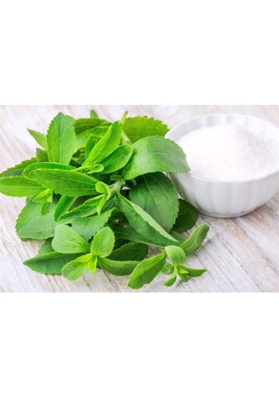 Saksılık Stevia Tohumu Ekim Seti 5 Tohum Şekerotu Tohumu Saksı Toprak Kombin